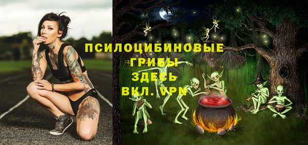 a pvp Михайловск